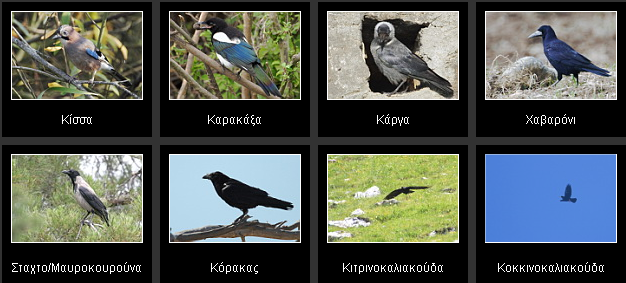 Machine generated alternative text: