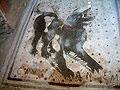 CAVE CANEM