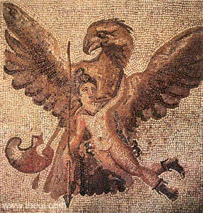 ΑΕΤΟΣ ΔΙΑΣ ΚΑΙ ΓΑΝΥΜΗΔΗΣ